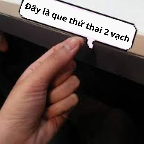 hình ảnh que thử thai 2 vạch troll đây kà que thử thai