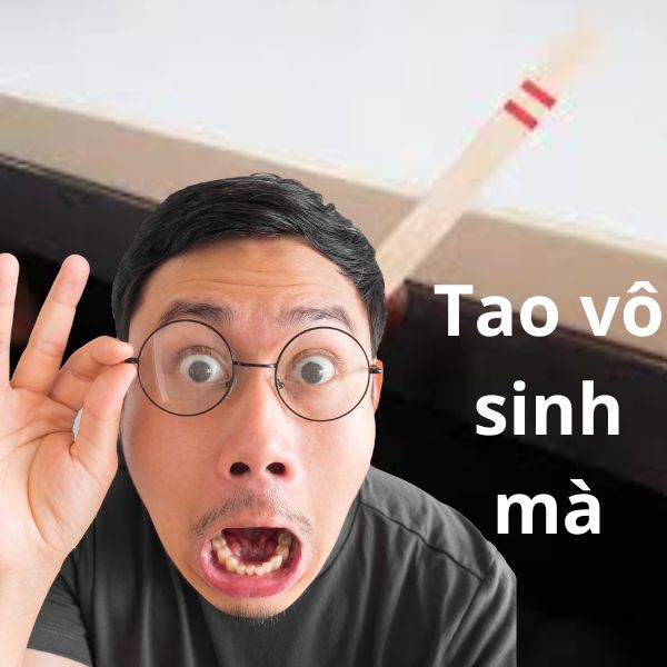 hình ảnh que thử thai 2 vạch troll vô sinh