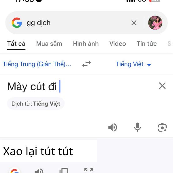 hình ảnh troll gg dịch tút tút