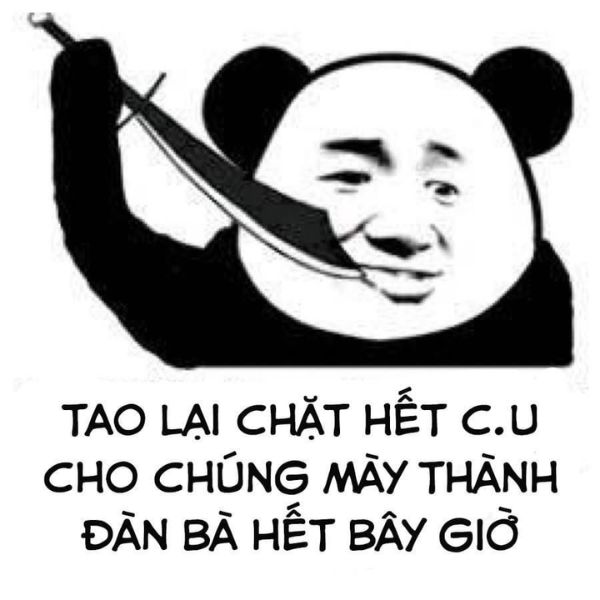 hình gấu trúc bựa ố dề