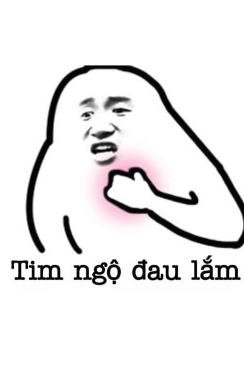 hình nền meme đau timm