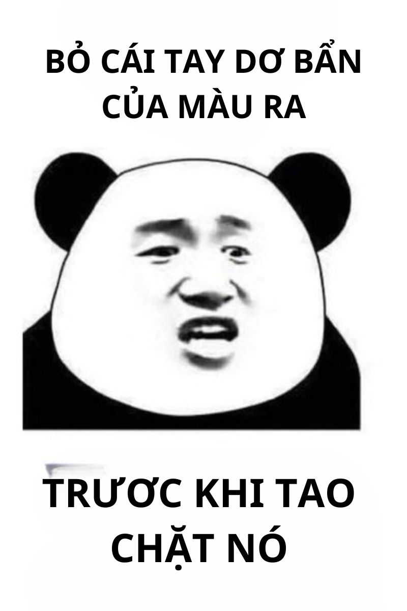 hình nền meme gấu