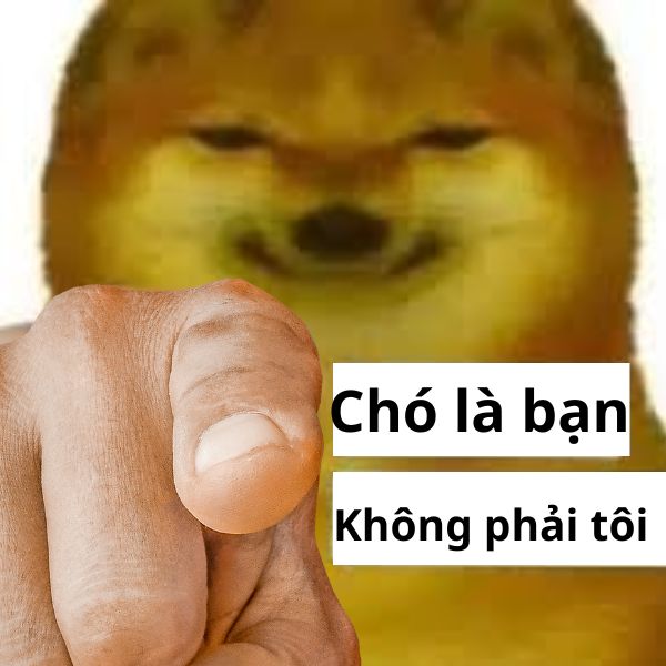 hình troll ảnh chế chửi hài hước chế