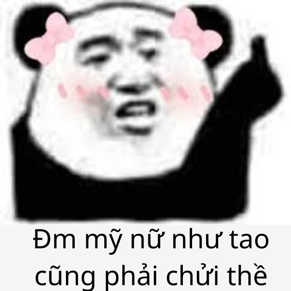 hình troll ảnh chế chửi hài hước hài hước