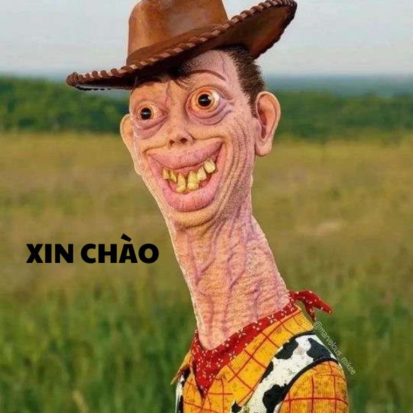 hình xin chào bựa bẩn