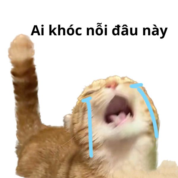 mem khóc nỗi đau