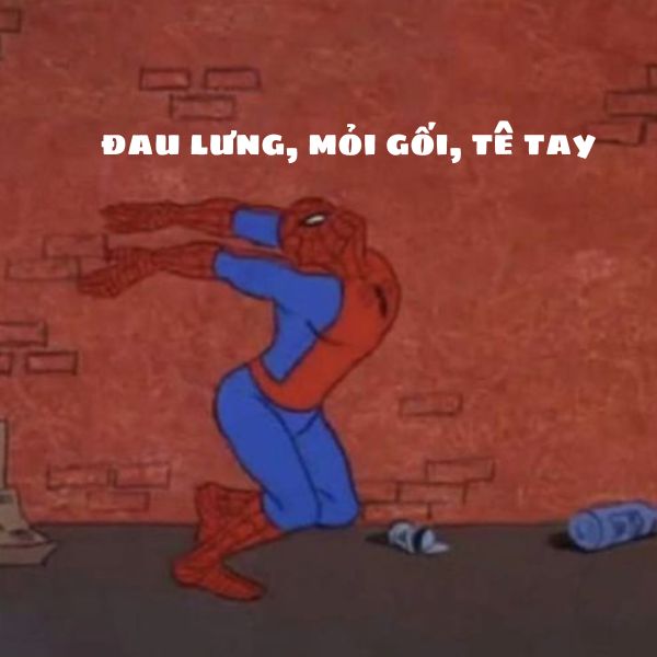 hình ảnh meme người nhện