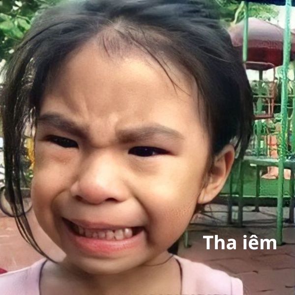 meme bất ngờ tha iêm