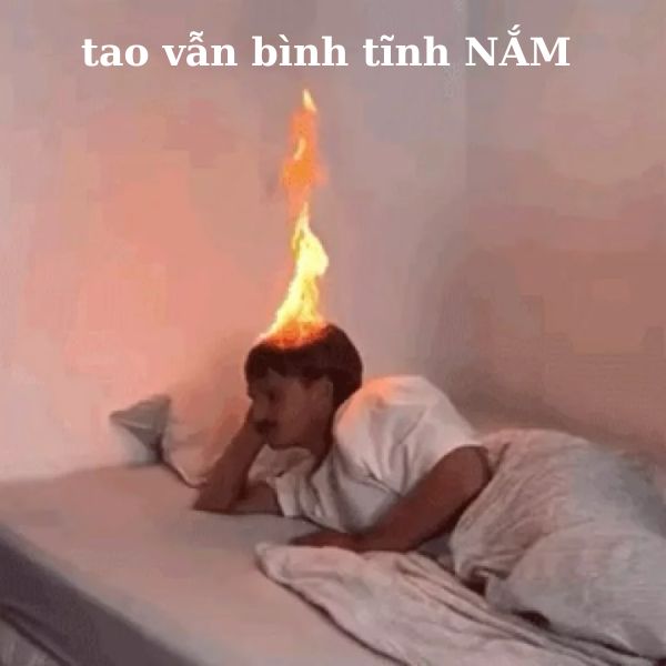 meme bốc hoả