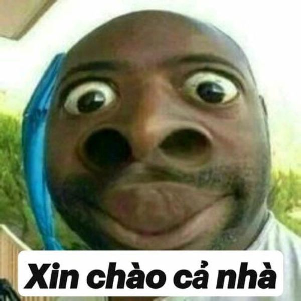 meme chào cả nhà