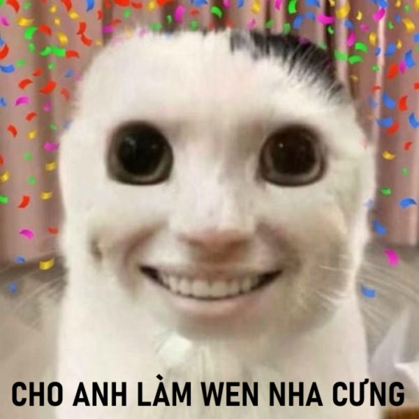 meme cười cho anh làm wen nha cưng