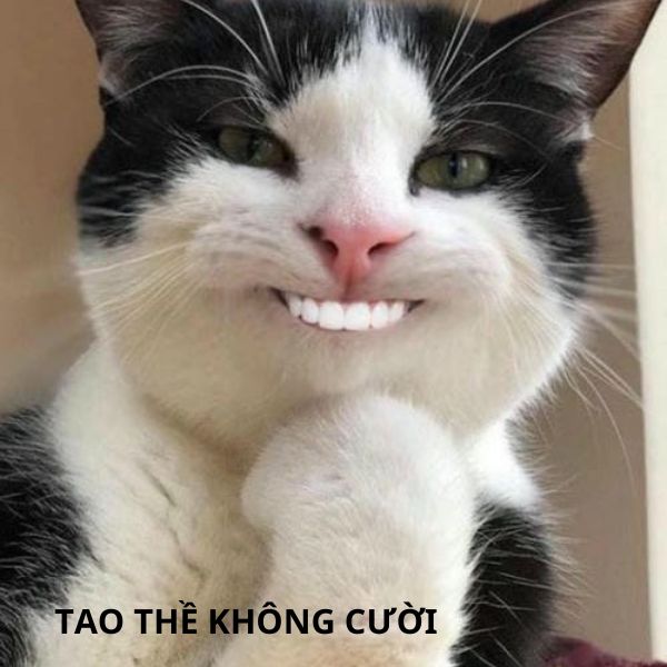 meme cười nham hiểm