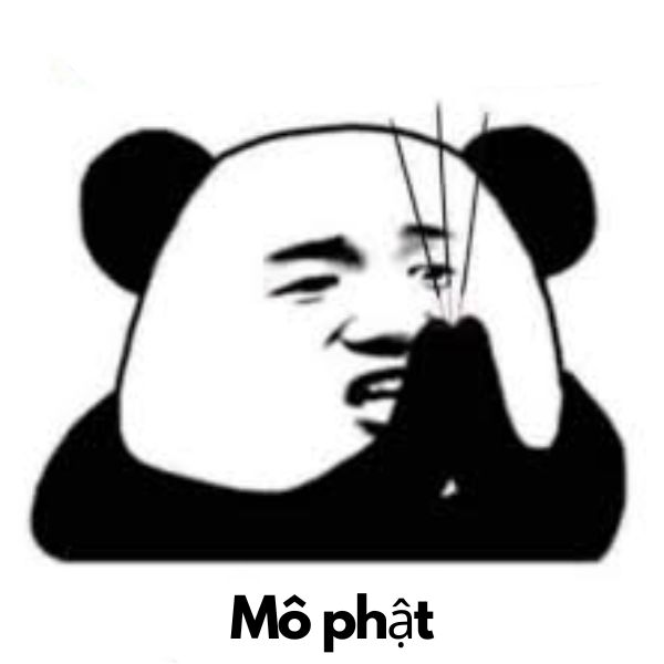 meme cute có chữ