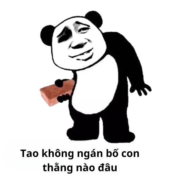 meme gấu trúc cầm gacghj