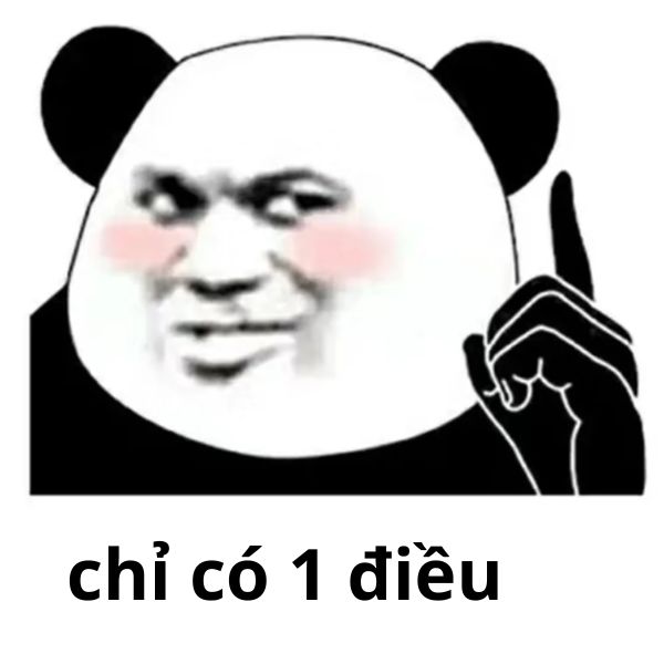 meme gấu trúc chỉ tay