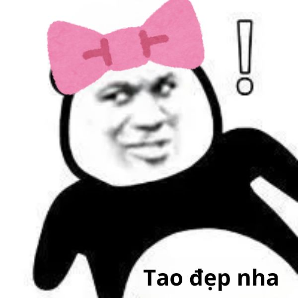 meme gấu trúc gấu đẹp