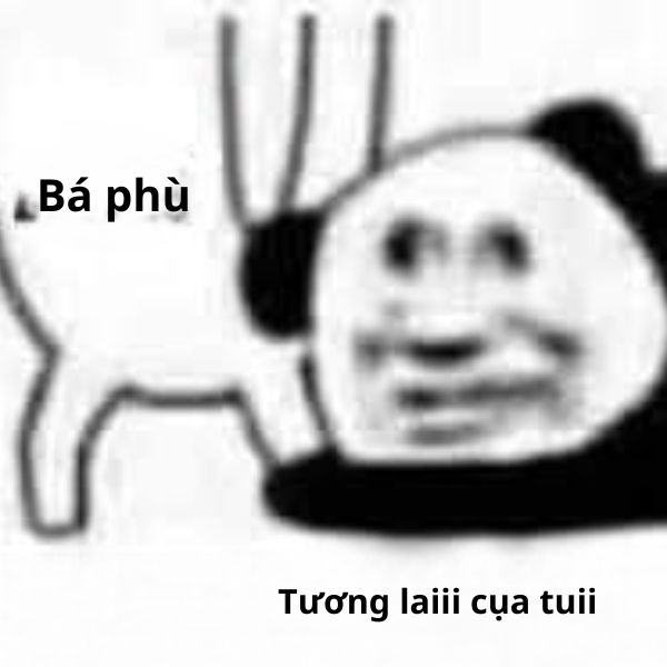 meme gấu trúc ôm chân