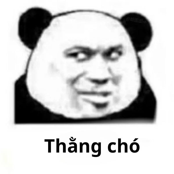 meme gấu trúc thằng chó