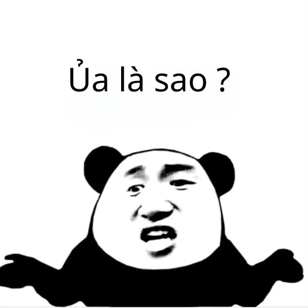 meme gấu trúc ủa