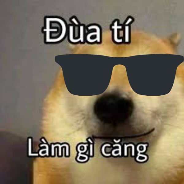 meme hài cute