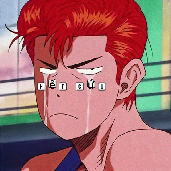 meme hết cứu anime