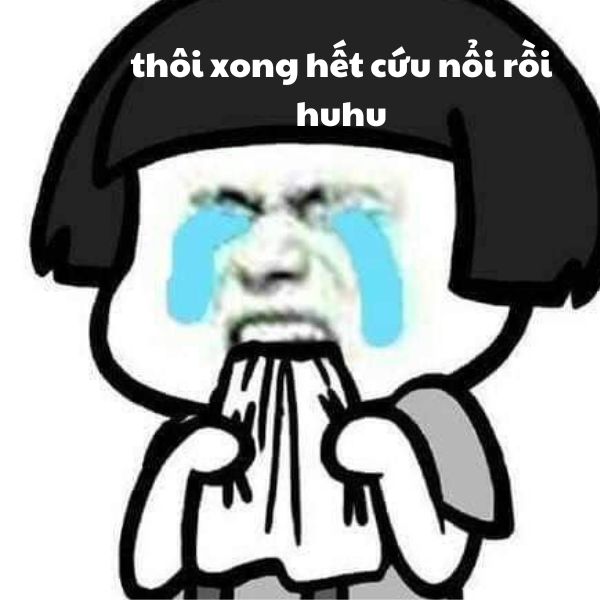 meme hết cứu nổi