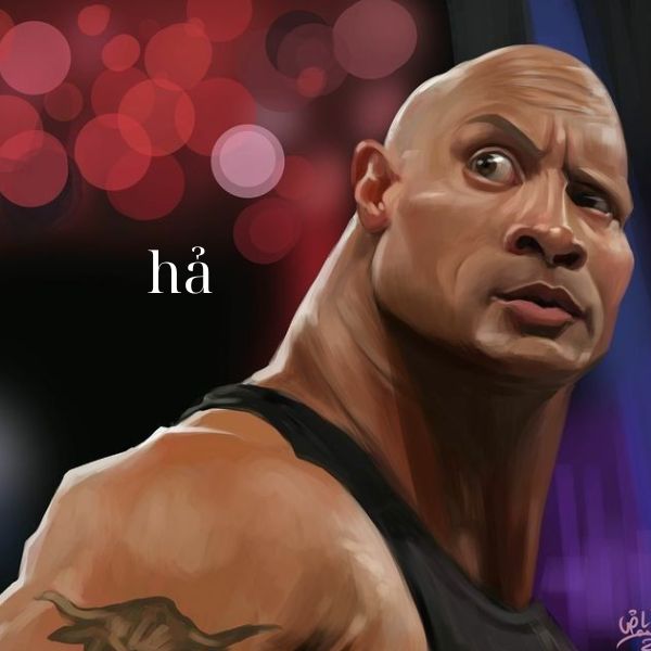 meme the rock hả