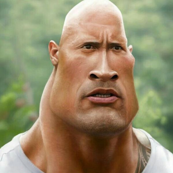 meme the rock phổng mũi