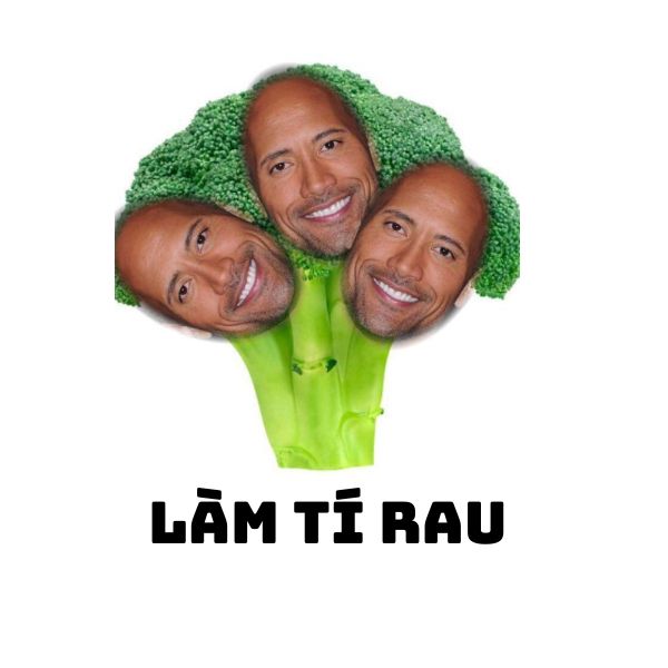 meme the rock rau