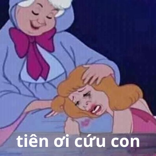 meme tiên ơi cứu con