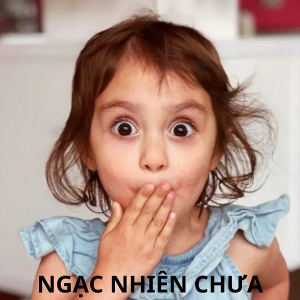 meme trợn mắt