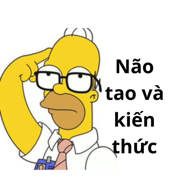 meme việt