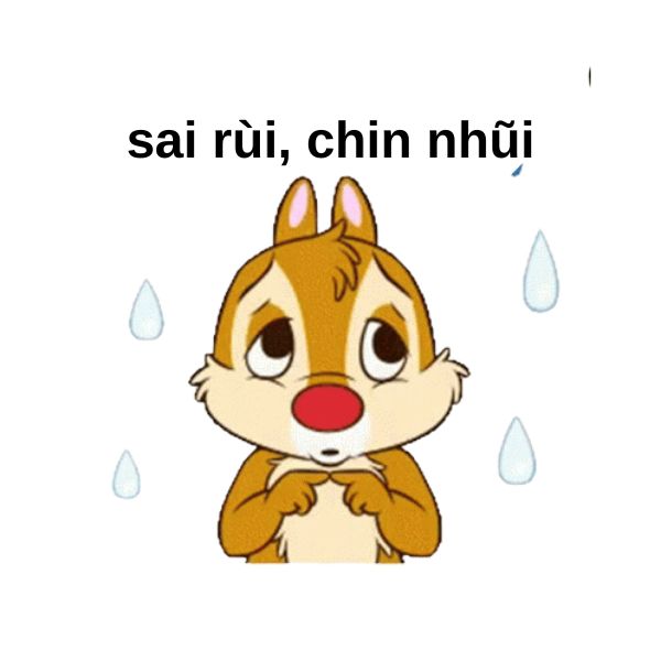 meme xin lỗi chuột