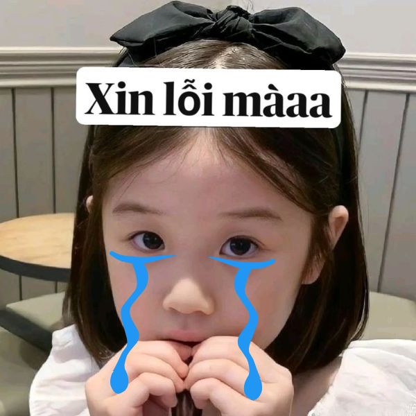 hình ảnh meme xin lỗi dễ thương