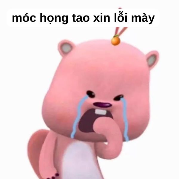 meme xin lỗi loopy