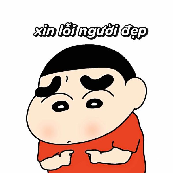 meme xin lỗi shin