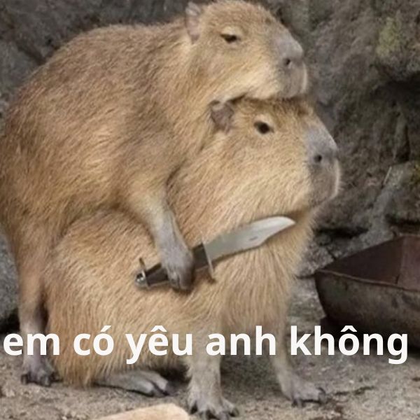 ngầu meme