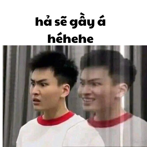 sẽ gầy ảnh meme chế bựa