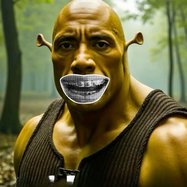 the rock meme cười nhe