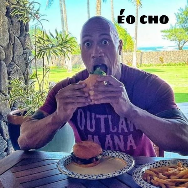 the rock meme đớp