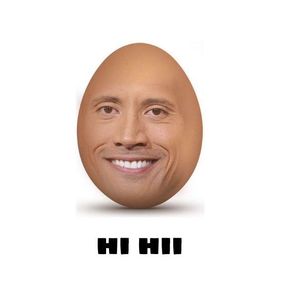 the rock meme hi hi