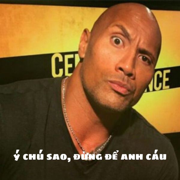 Chế ngay 100+ hình ảnh the rock meme cực gợi đòn