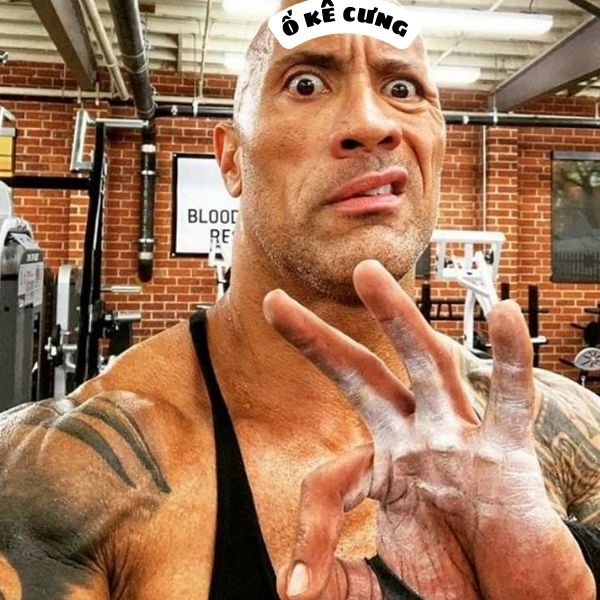 ảnh the rock meme nhếch lông mày hài hước