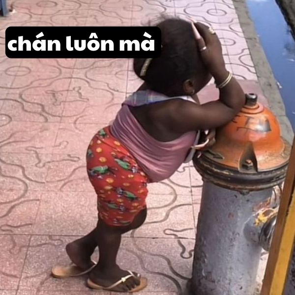 vảnh bất lực chán meme