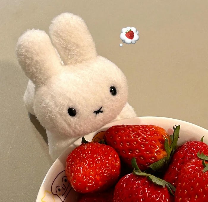 hình ảnh dâu tây cute