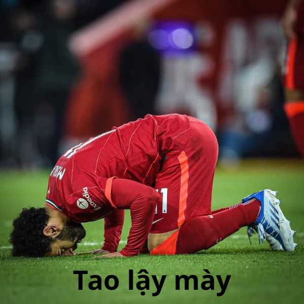 ảnh troll arsenal tao lạy mày