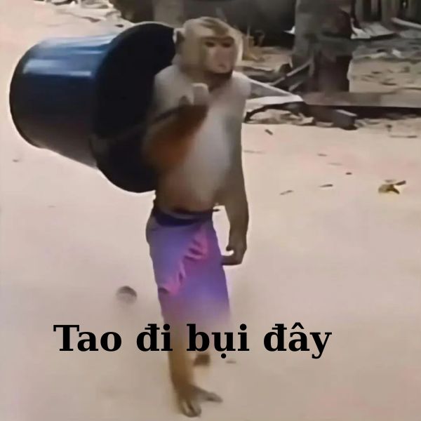 ảnh monkey meme hài hước