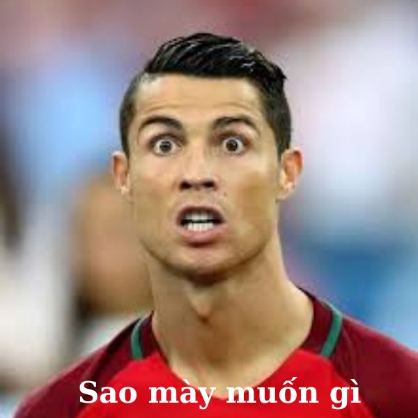 ảnh ronaldo bựa mày muốn