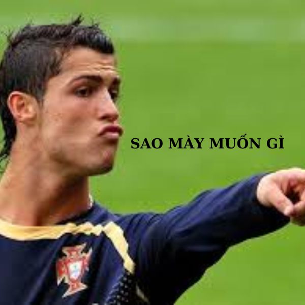 ảnh ronaldo bựa