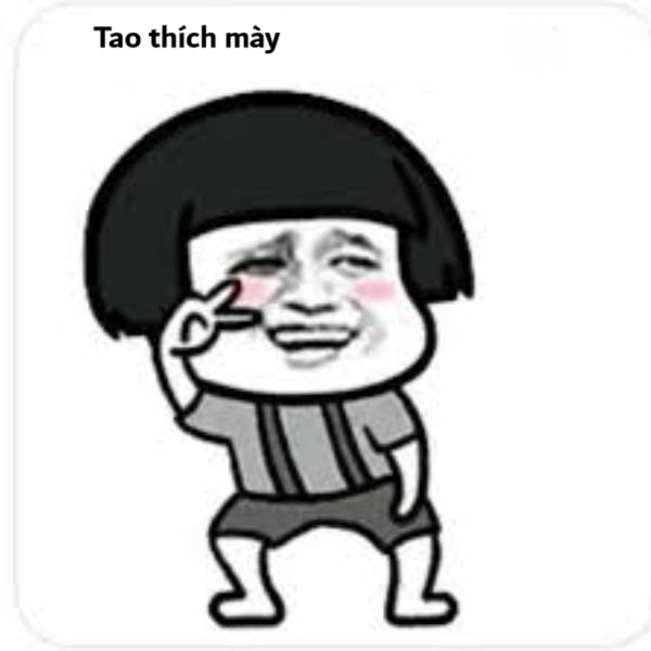 ảnh tao thích mày troll